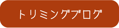 トリミングブログ