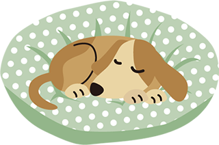 ペットホテル:イメージ