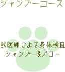 シャンプーコース 獣医師による身体検査 シャンプー&ブロー