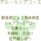 グルーミングコース 獣医師による身体検査 シャンプー&ブロー 足裏カット 耳掃除、爪切り 肛門線しぼり