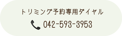 トリミング予約専用ダイヤル042-593-3953
