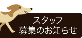 獣医師募集のお知らせ