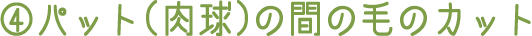 4.パット(肉球)の間の毛のカット